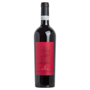 Antinori Rosso di Montalcino "Pian delle Vigne" DOC 2020