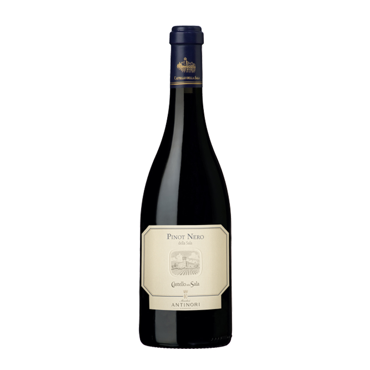 Castello della Sala Pinot Nero 2021 MG